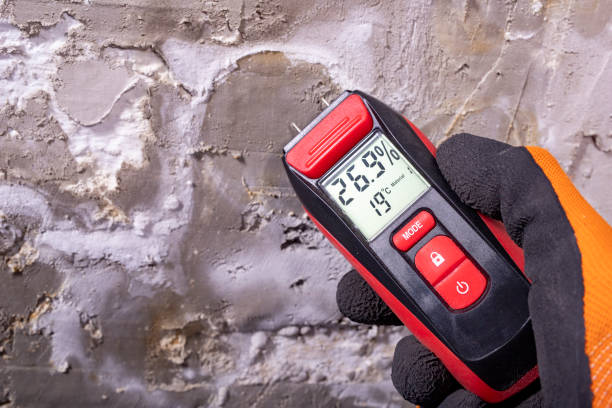 Best Crawl Space Mold Remediation in Santa Ynez, CA
